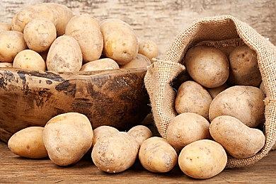 《刺客信条：影》首个实机演示 男女主角大开杀戒